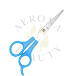 Plastic Handle Scissors